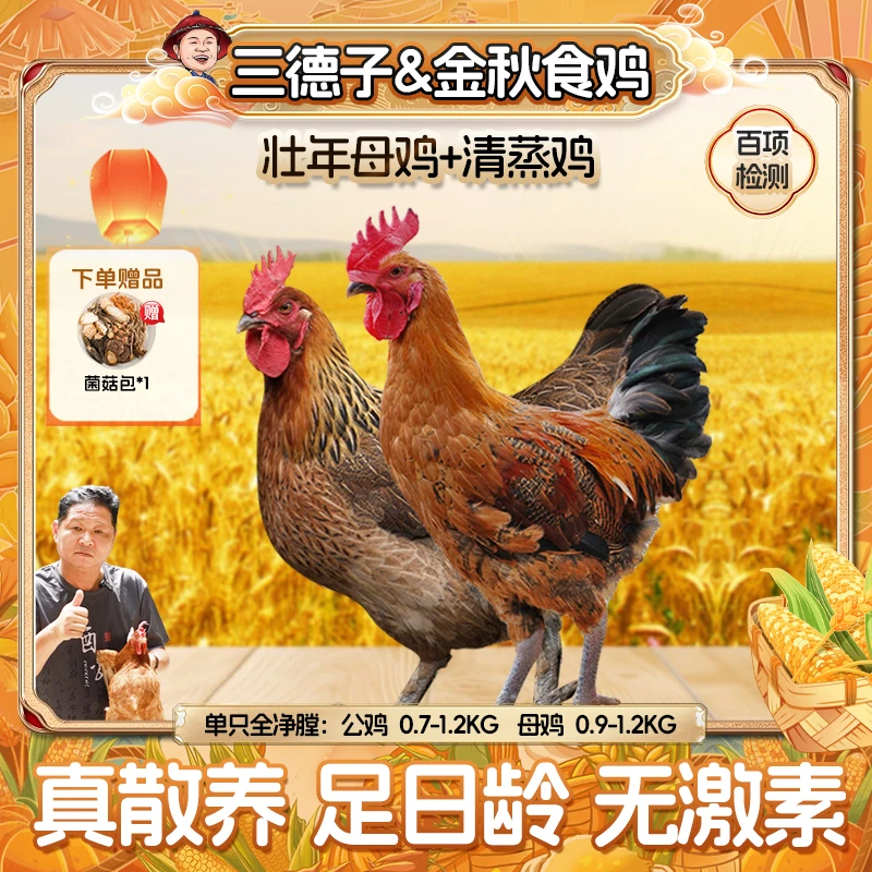 三德子【母子组合】壮年母鸡+清蒸鸡童子鸡山地散养跑山鸡土鸡清蒸