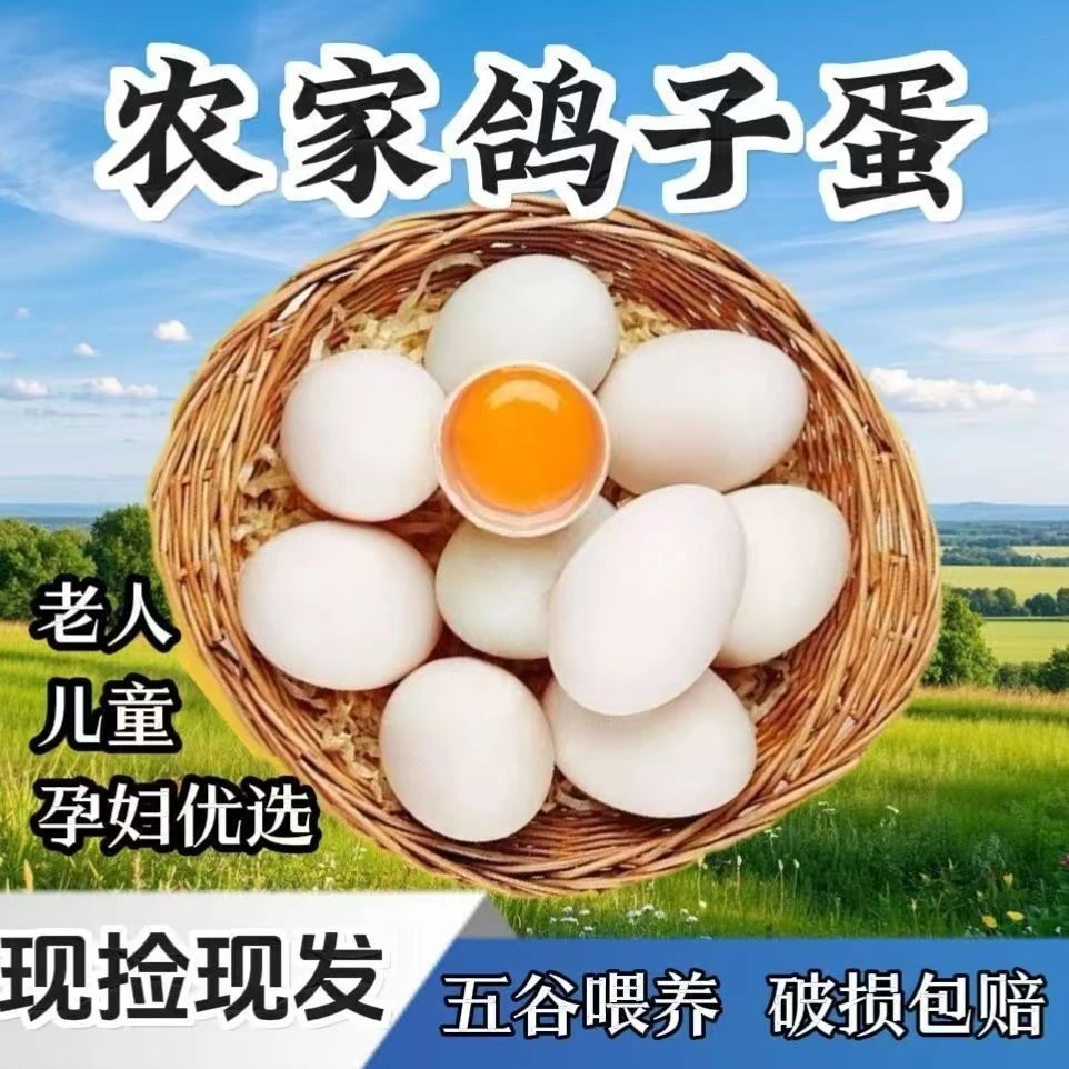 鸽子蛋散养鸽子五谷杂粮喂养儿童孕妇营养