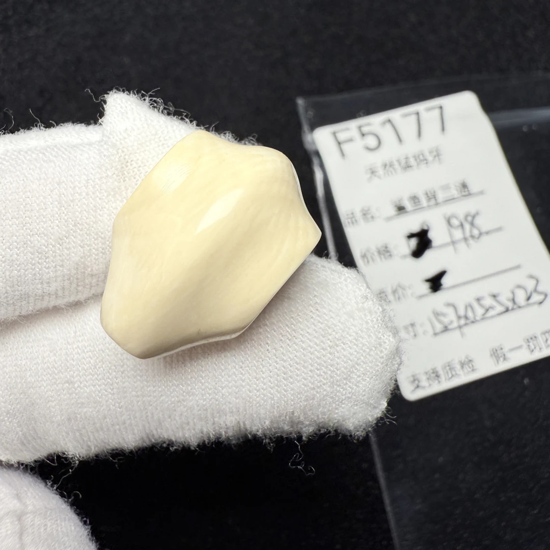 F5177猛犸象牙鲨鱼背一体三通纯肉冰料果冻料15.7*15.5*23mm
