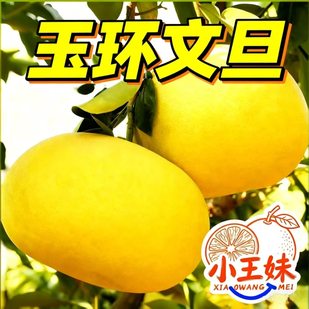 迷你小果5.4斤|11斤玉环文旦柚子产地早熟清香新鲜饱满甜应季水果