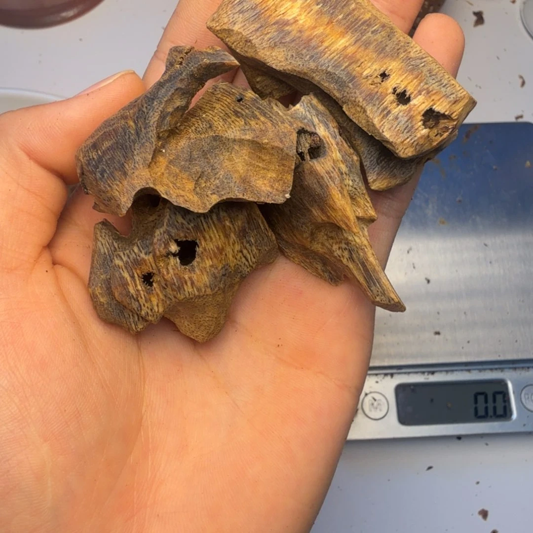 沉香沉香碎屑小**胶海南糖结红棋树心油醇化老料22.5克