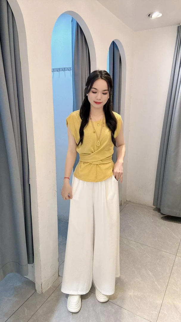 丹妮丝简约通勤时尚套装休闲显瘦洋气两件套套装