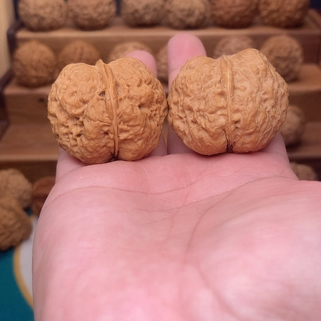 文玩核桃把件满**活元宝蟾