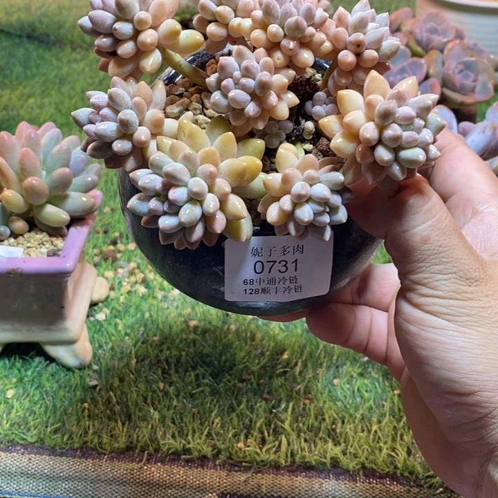0731啊啊啊啊啊啊啊啊啊