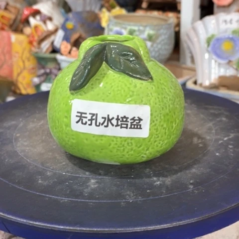【闪购商品】瑶**贝