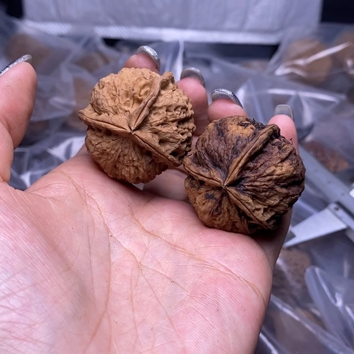 核桃云南野生铁核桃35号36mm
