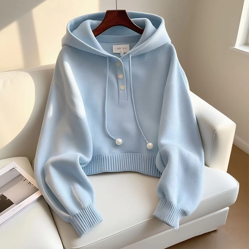小众别致蓝色连帽抽绳纯色卫衣秋季韩系慵懒风时尚高级感洋气上衣