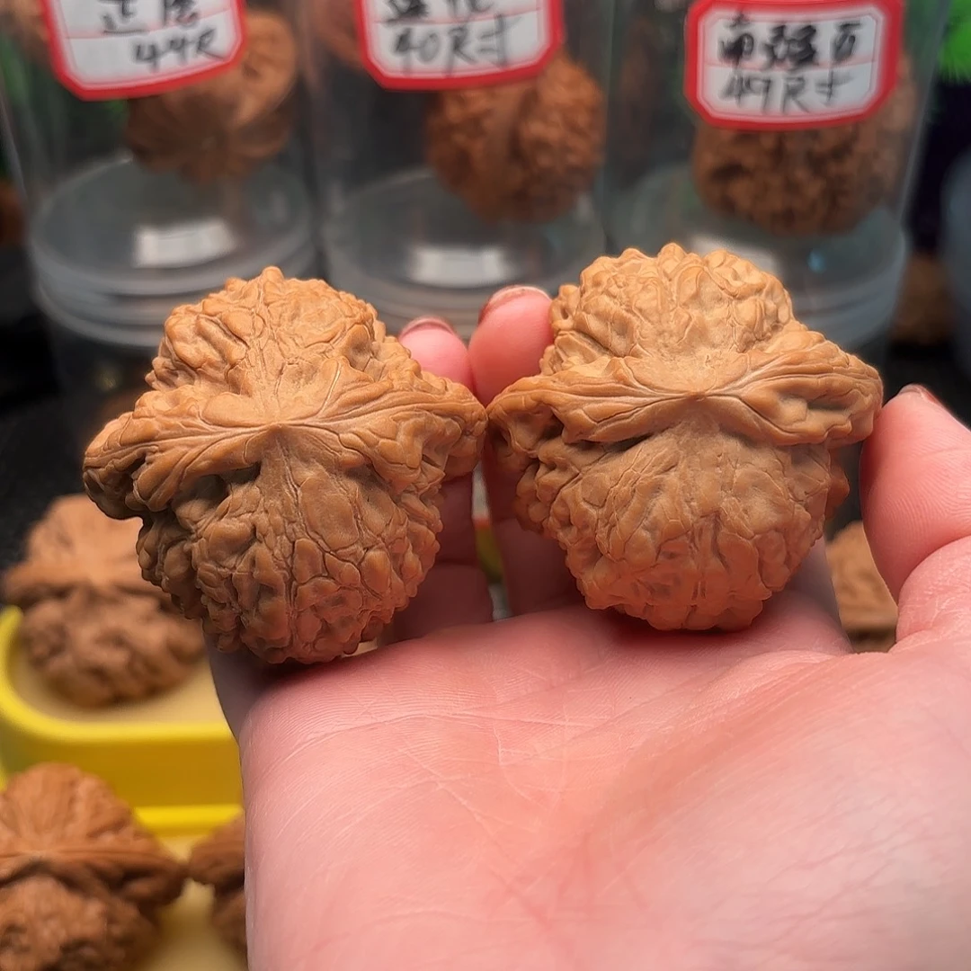 橄榄核手串/手链龙鼎51全品