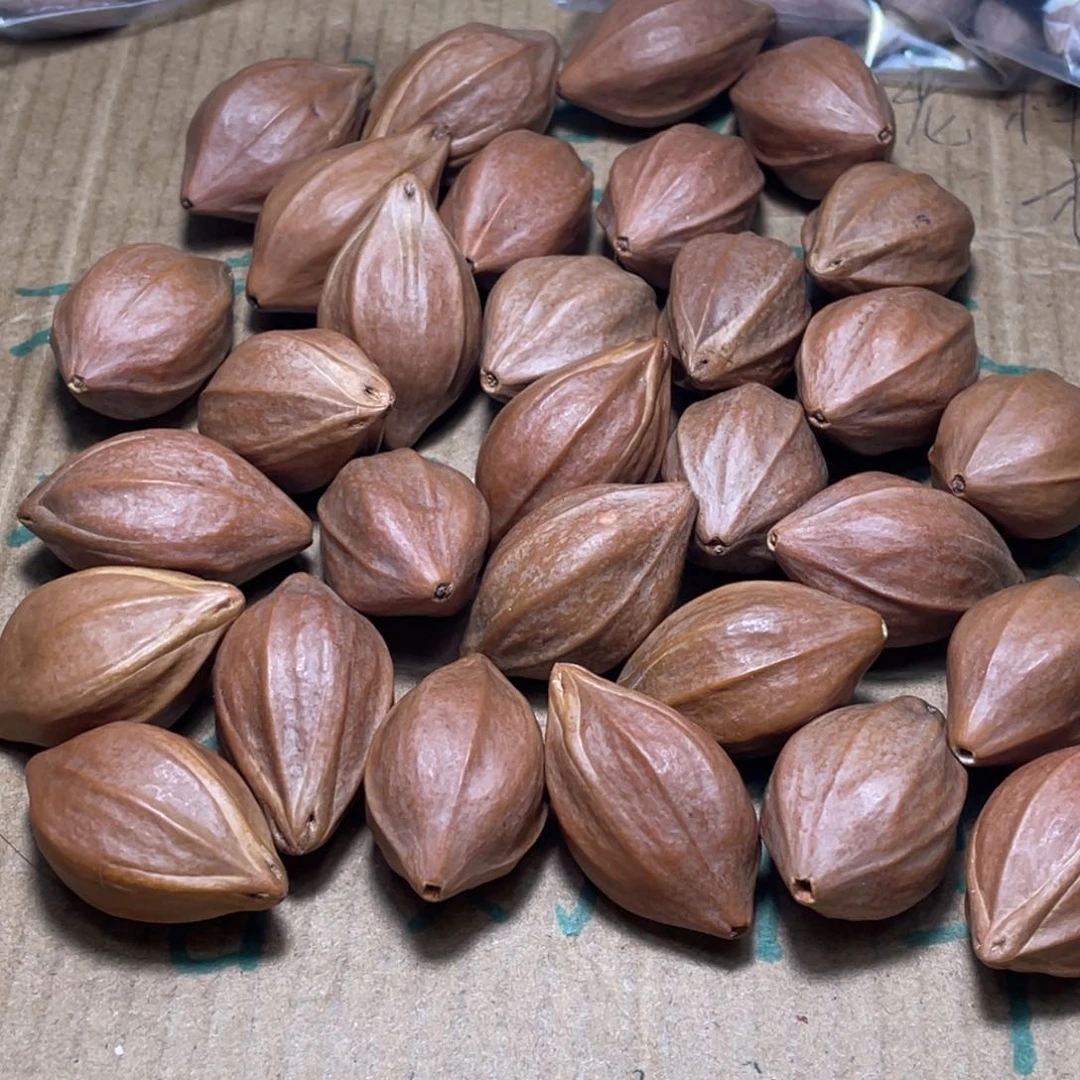 辉***辉不退不换qeertyuool