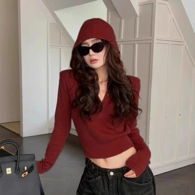 高级感早秋红色百搭洋气女装网红款连帽小众长袖打底针织衫上衣服
