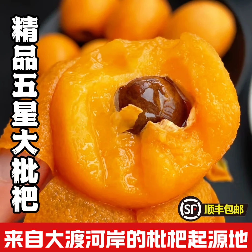 四川枇杷汉源大五星枇杷精品大枇杷爆汁肉厚皮薄核小