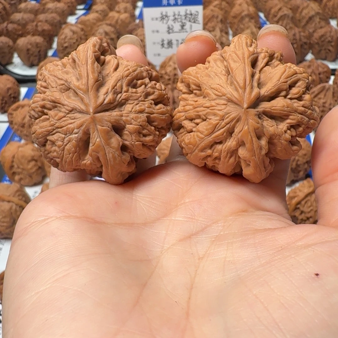 核桃193号 4.4尺大粗筋 全品