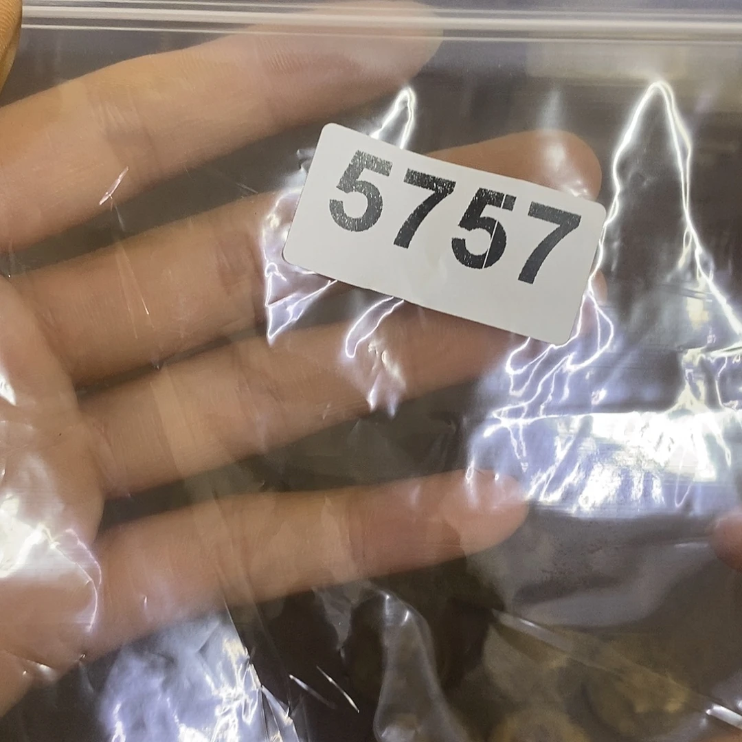 瓷片景德镇陶瓷研究所