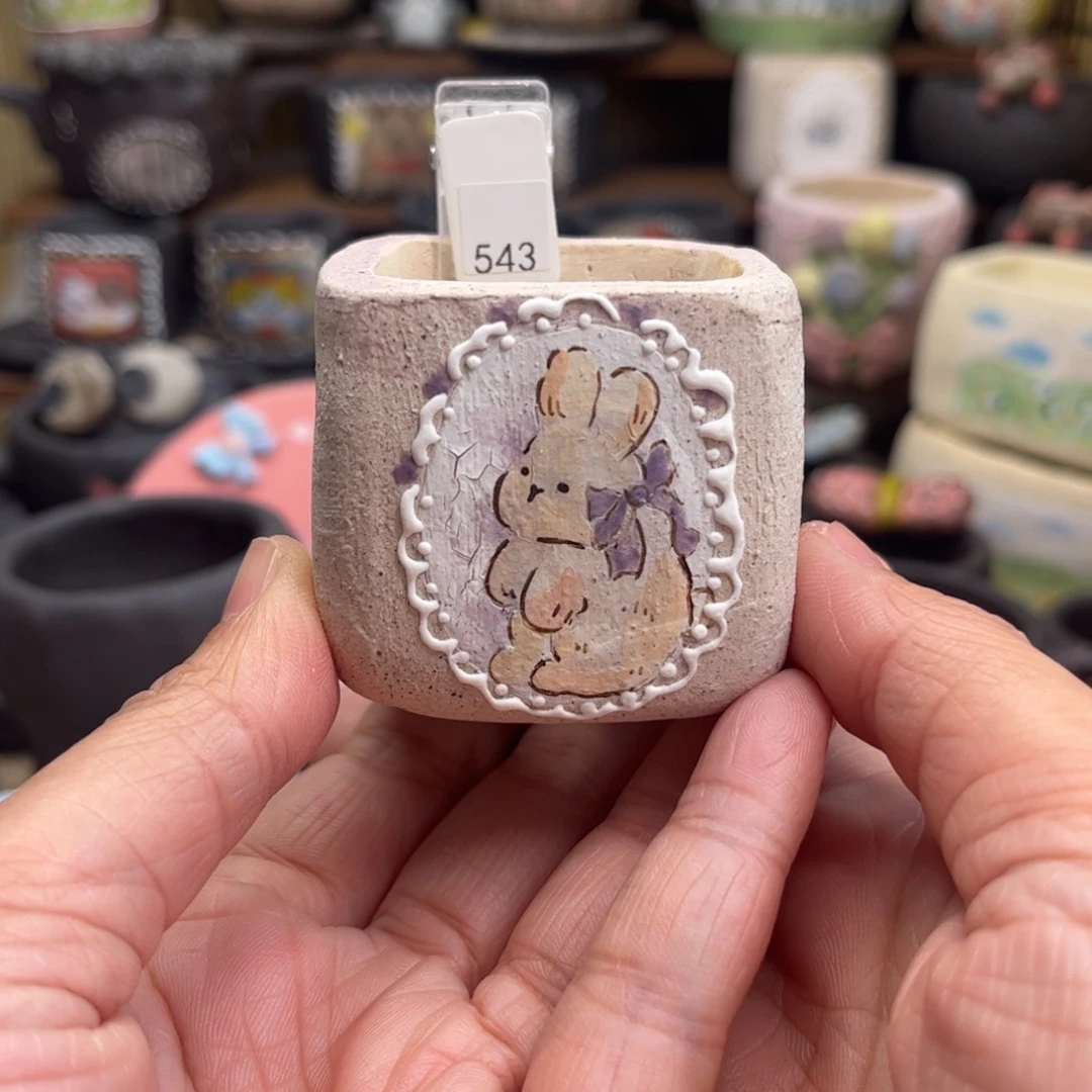 红陶543兔子原色方盆现货