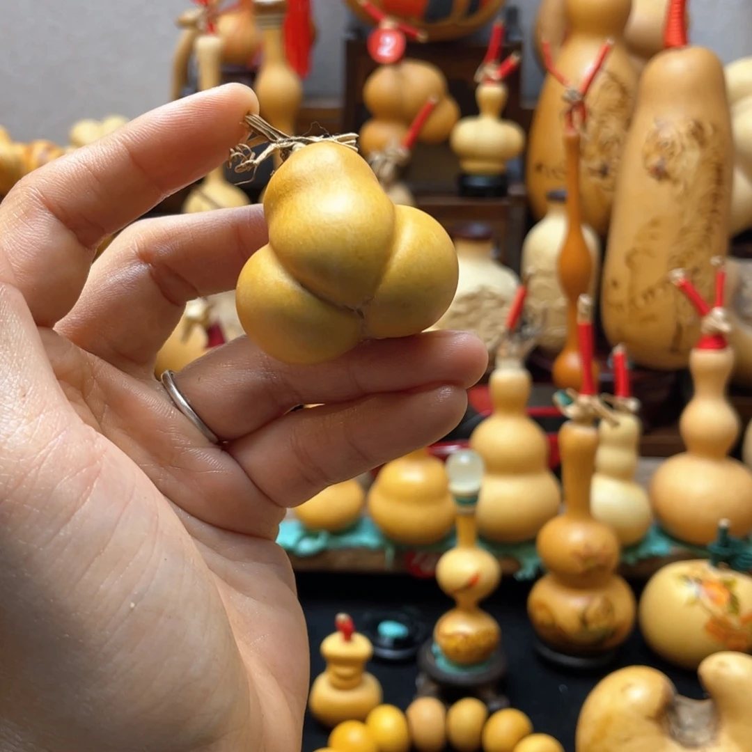 ?**?大自然的秘密第十一节你是