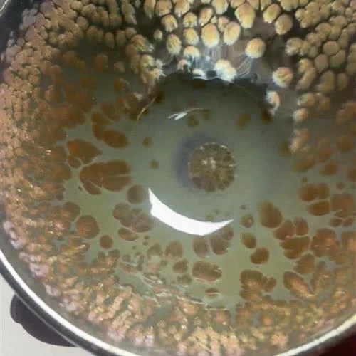 【闪购商品】茶盏-27.............