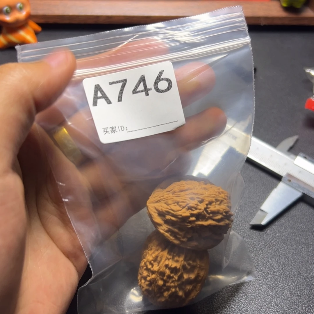核桃哈哈哈哈哈我
