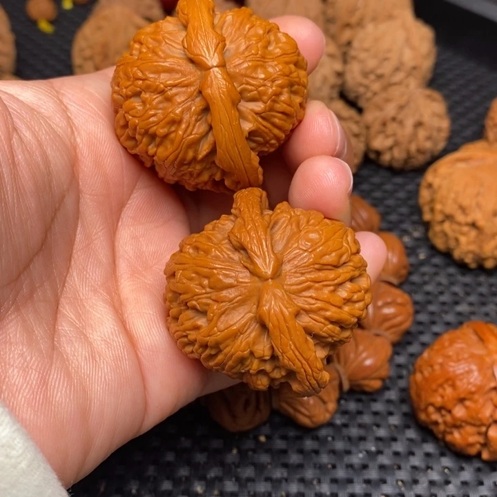 秦岭野生000000016