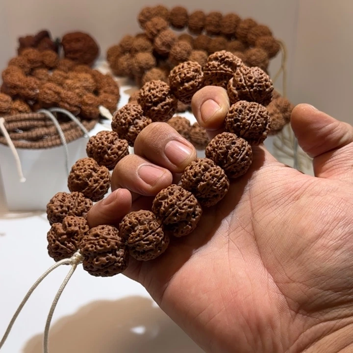 金刚菩提手串头**长粗筋梅花