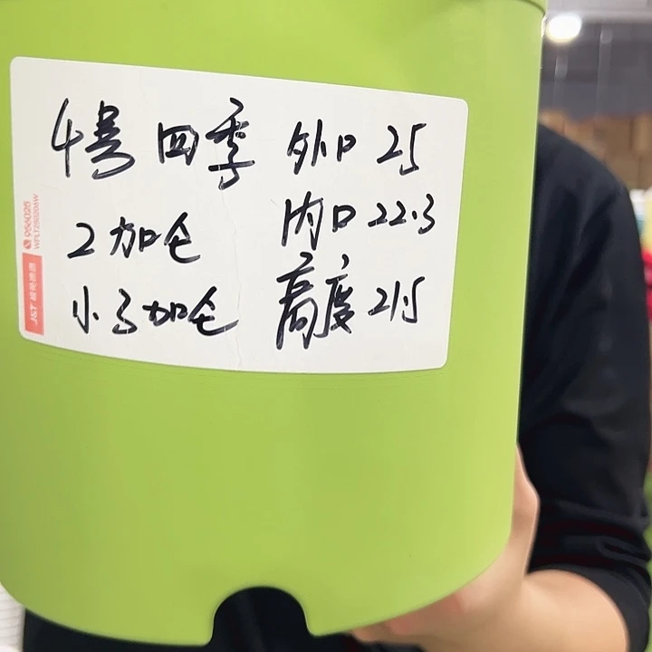 特价四季口25高21白色10只无托