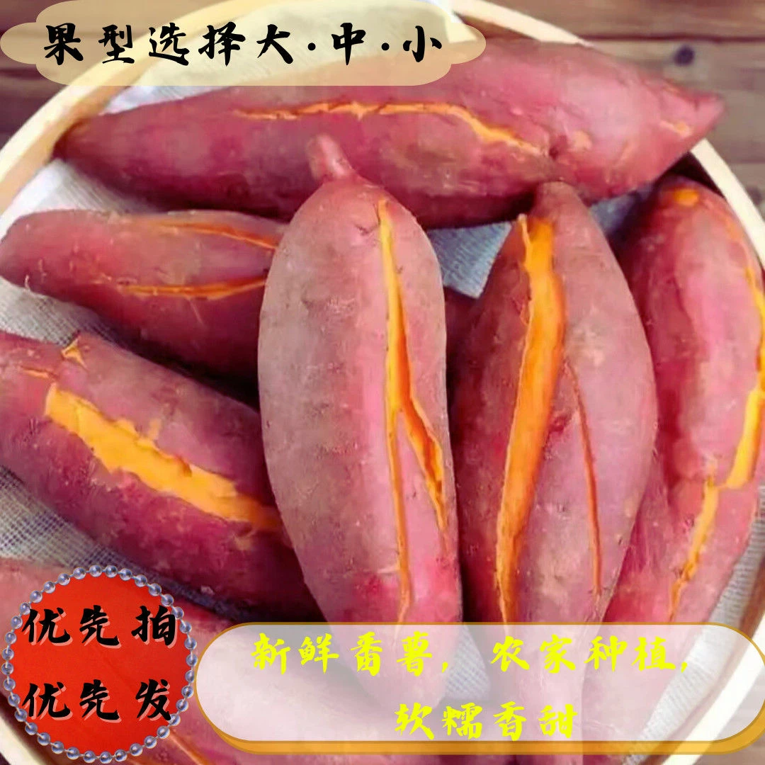 开封现挖糖心龙九黄心蜜薯当季香甜正宗沙地红薯