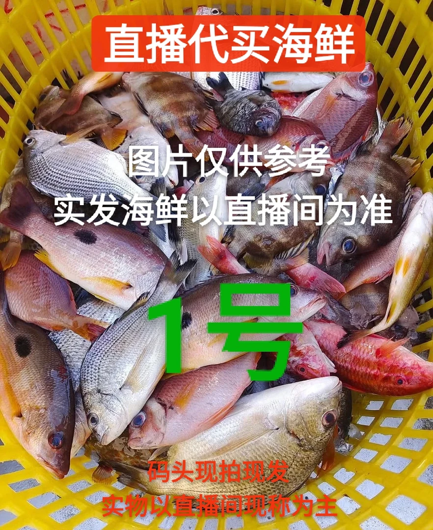 【海悦鲜】❶北海码头直播代买海鱼虾新鲜海捕（现拍现发）速冻锁鲜发