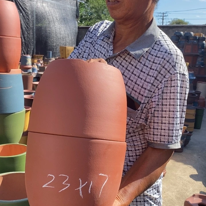 紫砂花盆紫砂花盆盆栽植物