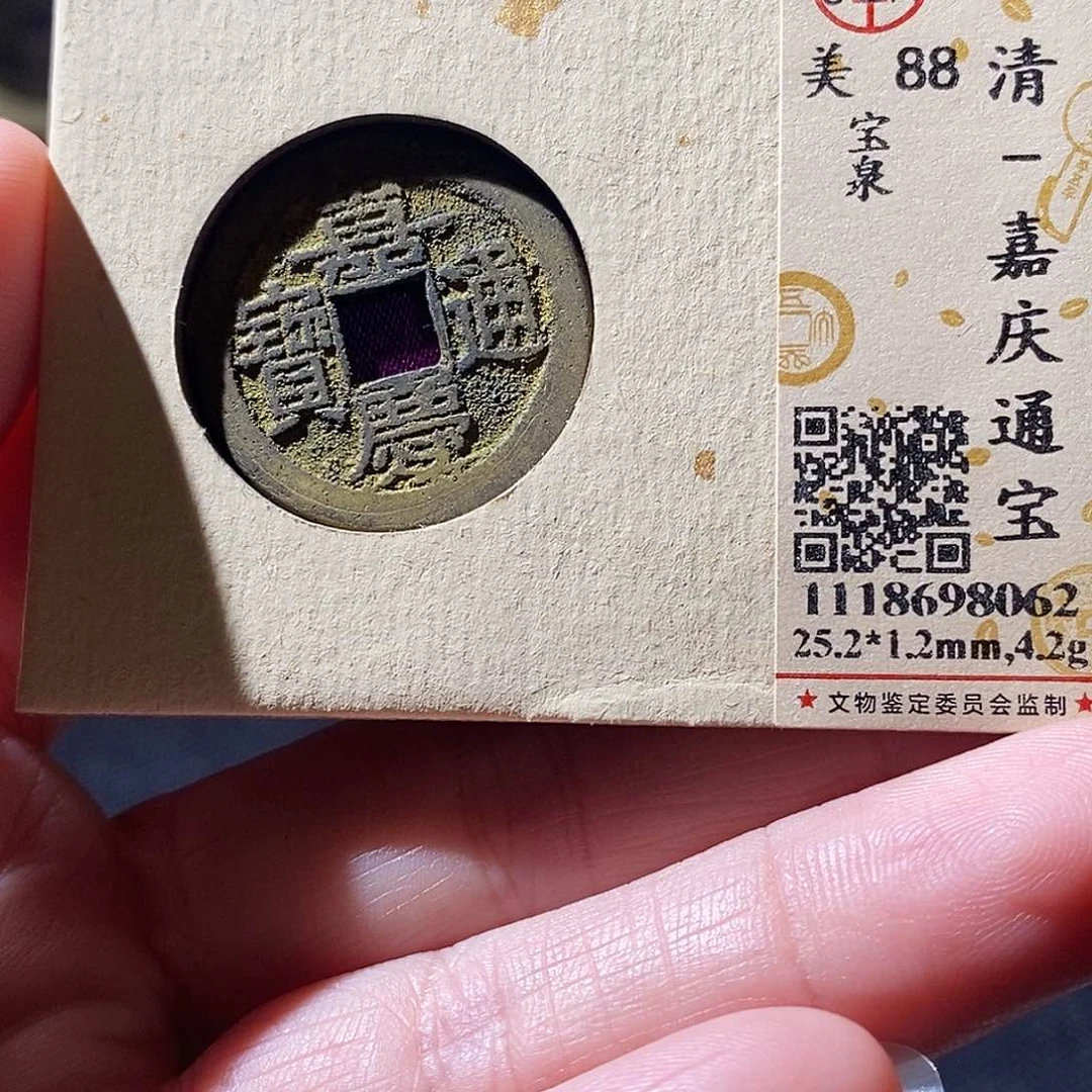 贝壳6 恭喜发财恭喜发财