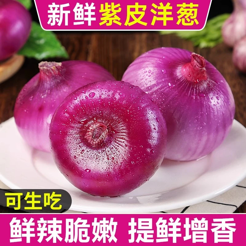 新鲜中牟县紫皮洋葱圆葱 应季蔬菜生吃水果扁洋葱头 整箱包邮YL