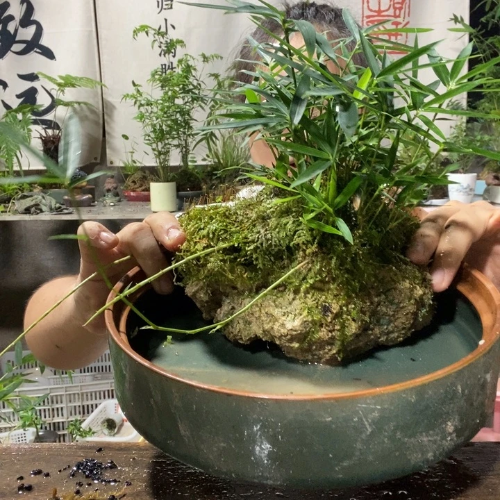 金***金无花朵退款拉黑拉黑206