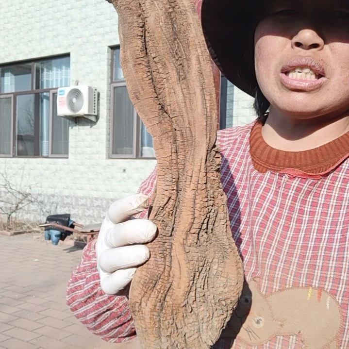 风车木（黑檀木）钢*砼