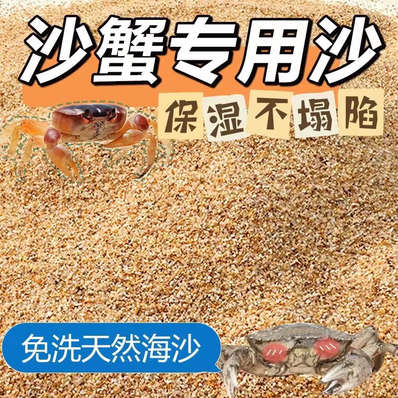 沙蟹专用优质天然免洗海沙螃蟹乌龟寄居蟹鱼缸造景宠物底砂