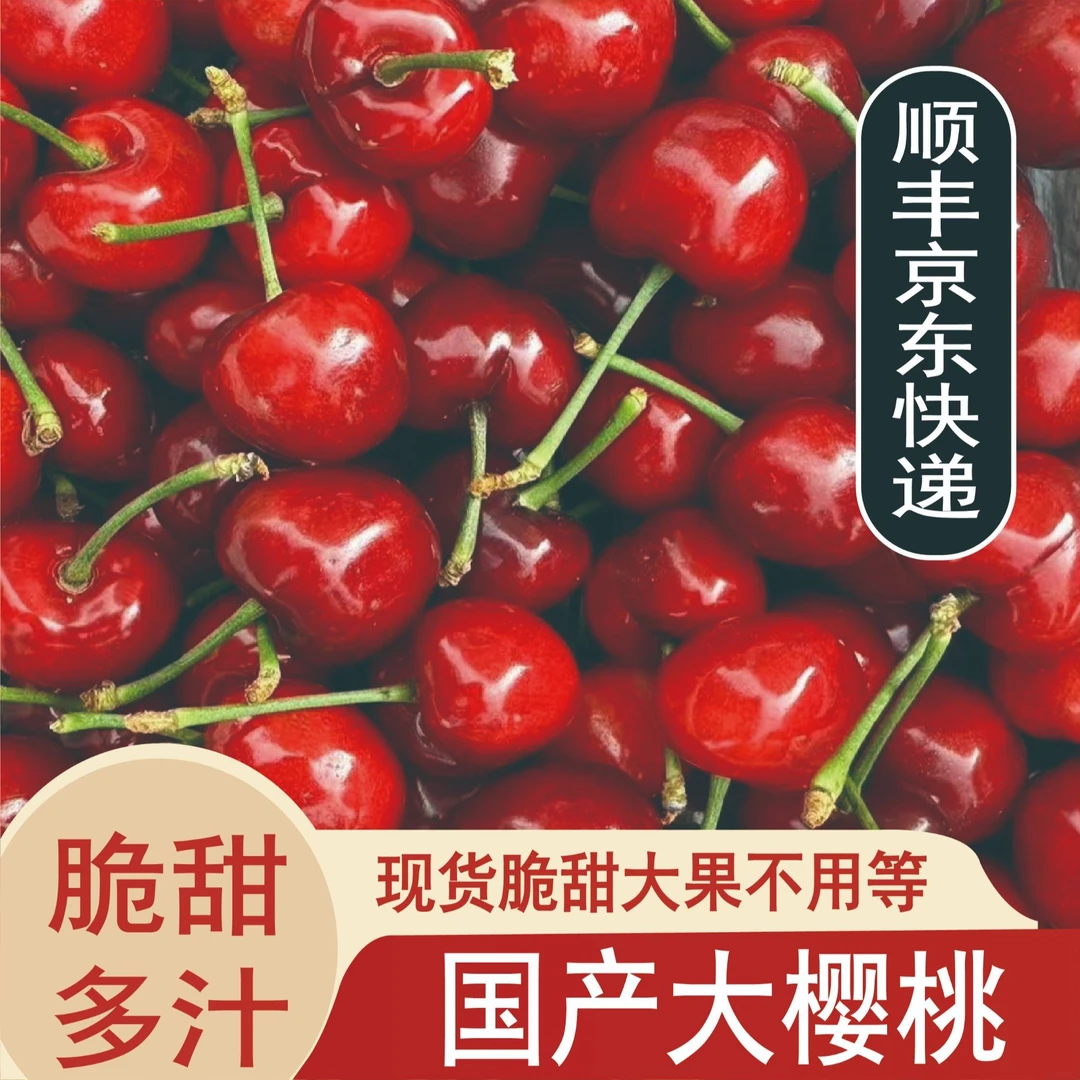 【送2斤】新鲜美早大樱桃应季水果孕妇水果空运/陆运J-3J-S9-2樱桃