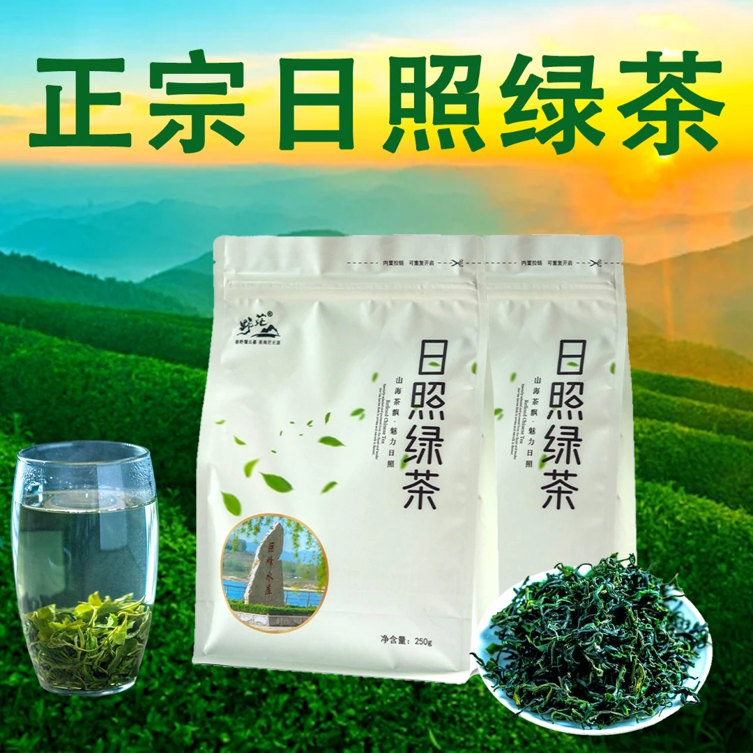 日照绿茶春茗板栗香黄绿汤回甘甜口口香正宗源头一芽二三叶老味道