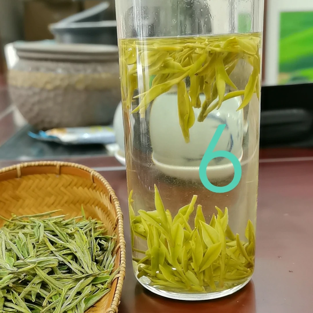 2025年新茶安吉白茶醇香浓厚250g