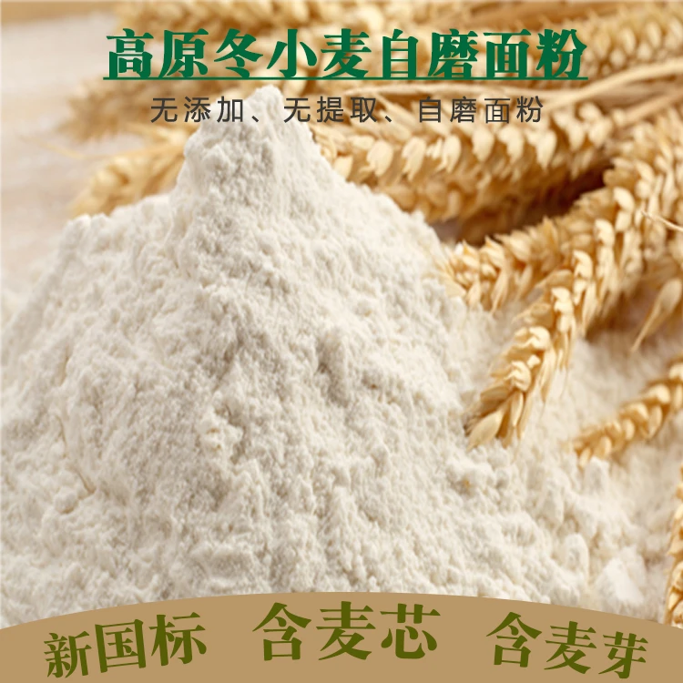 甘肃定西高原旱地种植冬小麦自磨提取农家自磨面粉纯天然小麦面