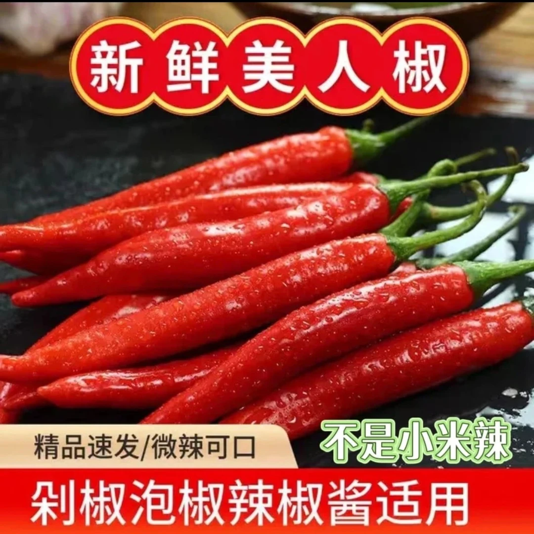 新鲜美人椒农家现摘红辣椒剁椒泡椒炒菜原料美人椒新鲜辣椒