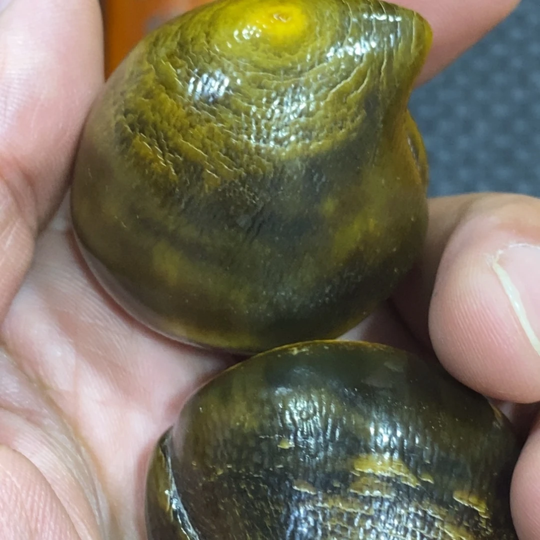 滴血莲花菩提吊坠