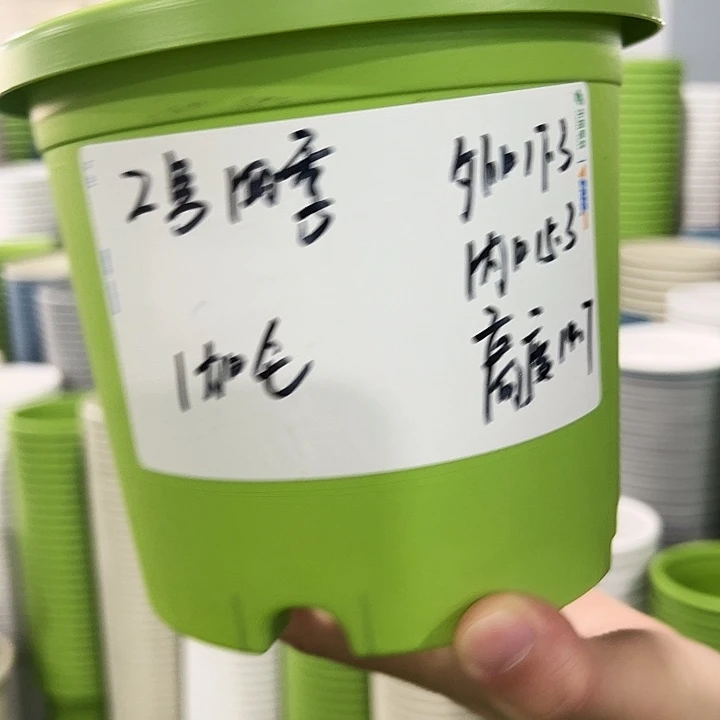 特价2号四季口17高14.7果绿无托10个