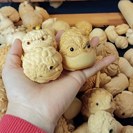 竹金蟾5+尺寸988556666655885