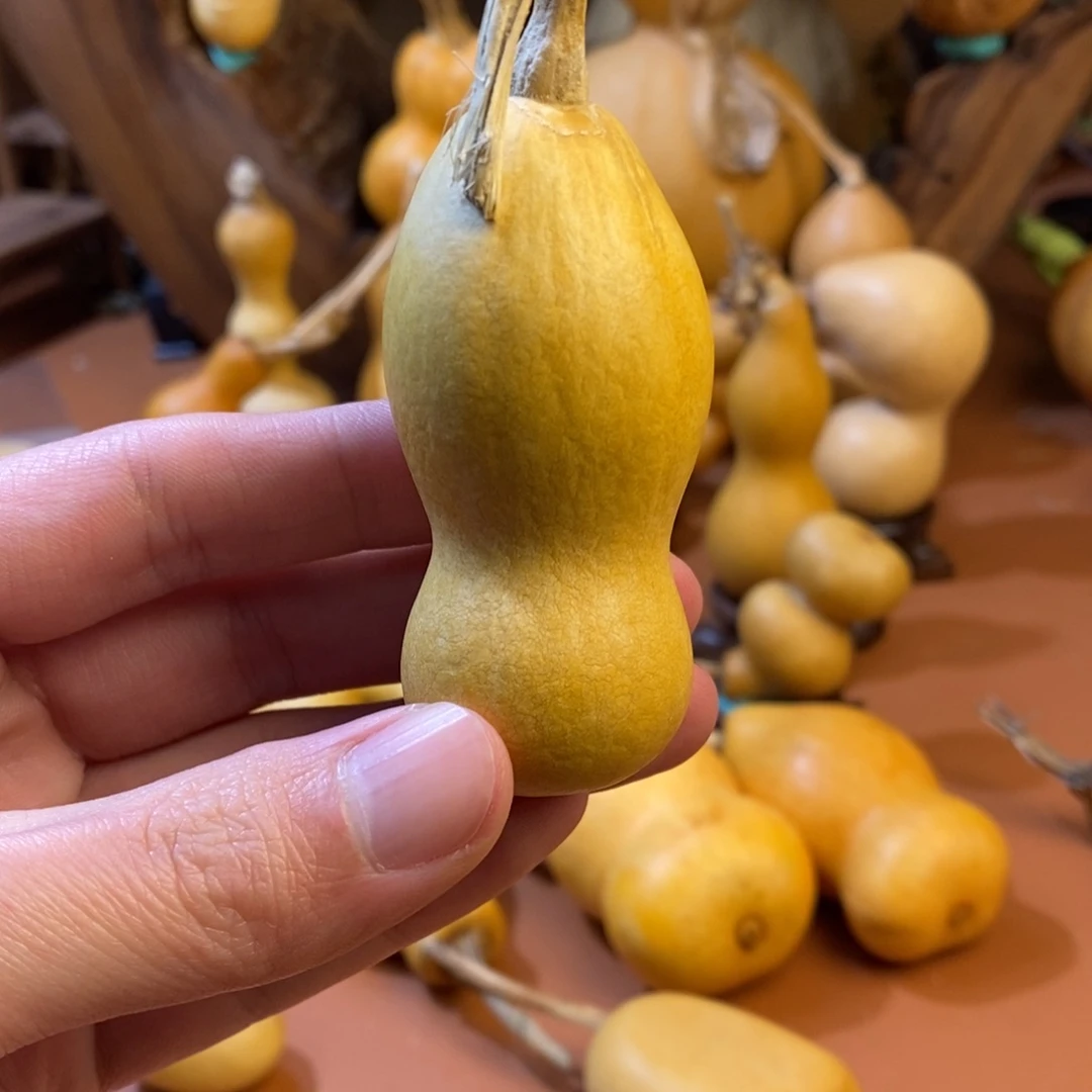 教练教练教练经理