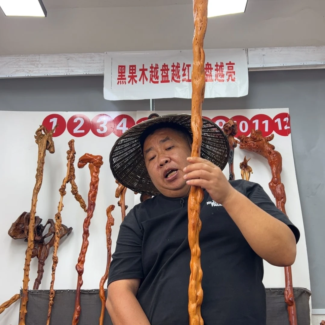 九***客黑果木其他黑果木733