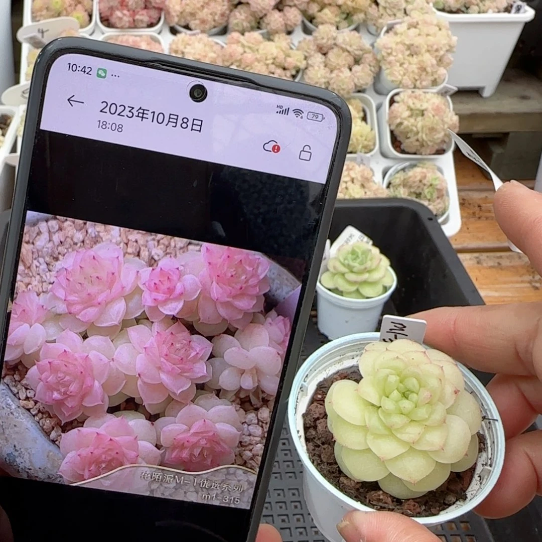 【闪购商品】0224-63（m1-315）