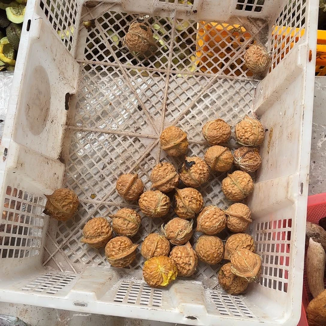 志***何云南小表妹野生菌代购中国大陆