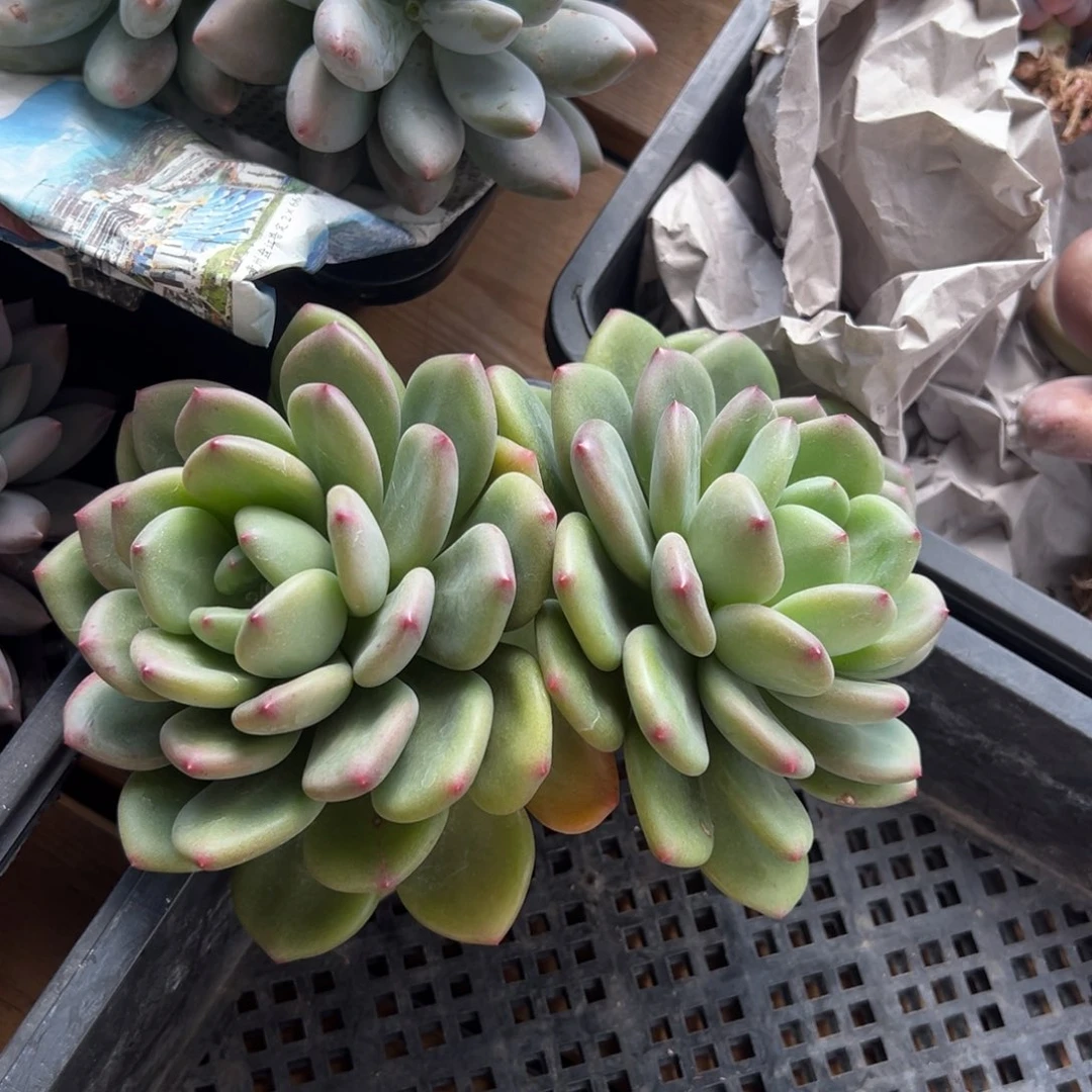 1111111111111111111111111