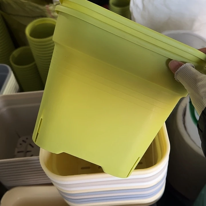 方25个口径5个无托果绿新款