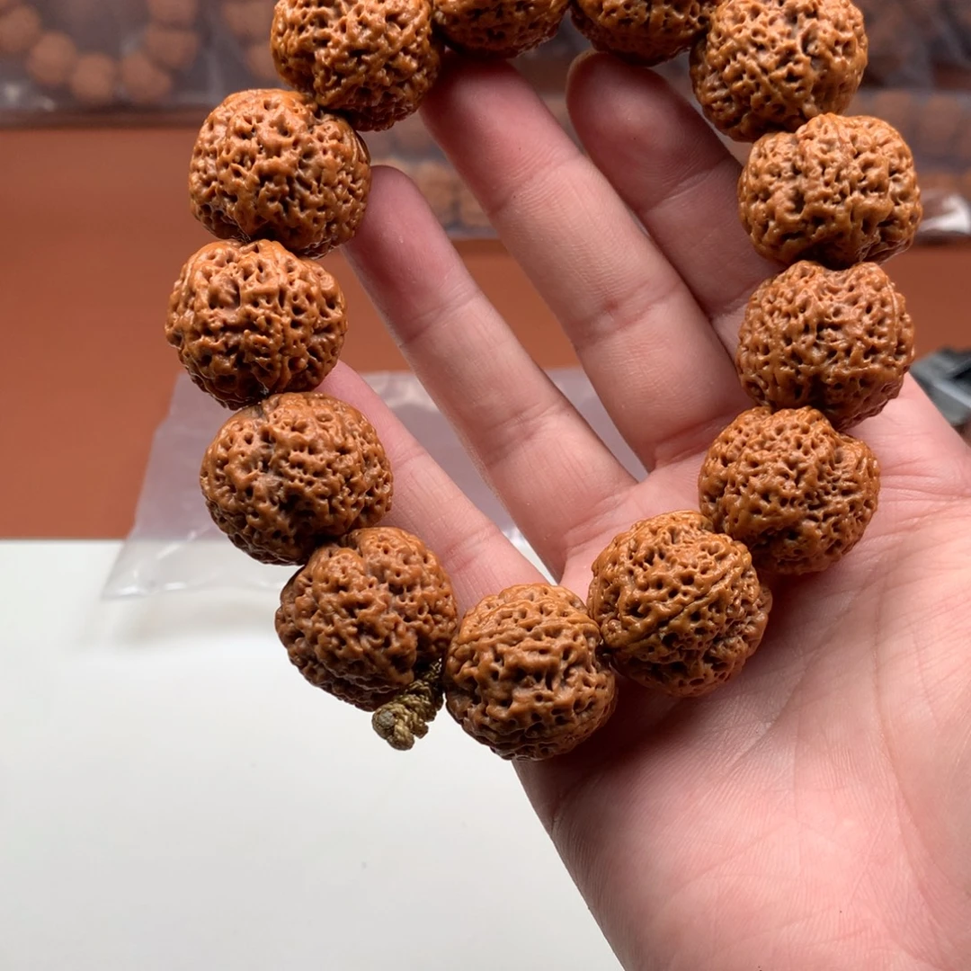 手串金刚菩提26梁蜂王