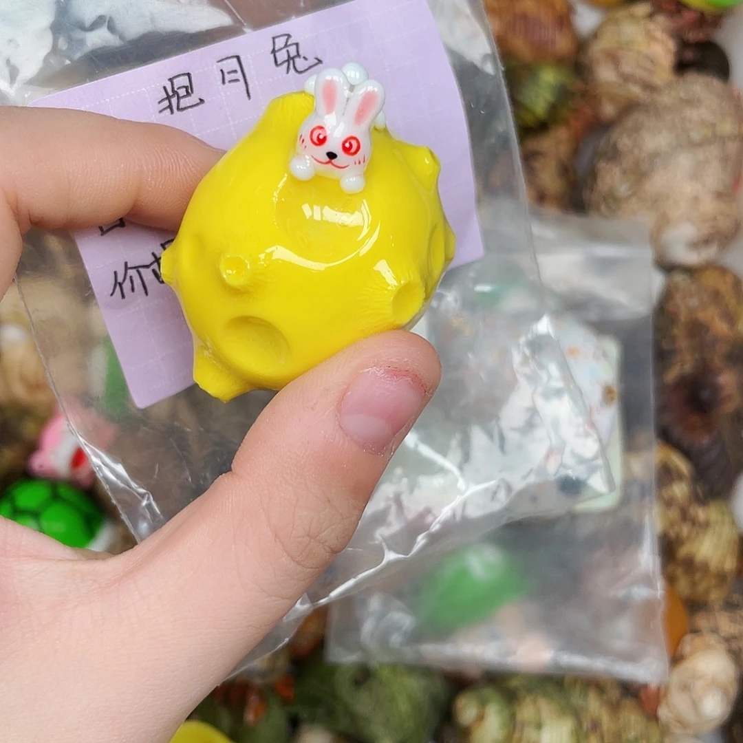 用***1陌派甄选寄居蟹4596