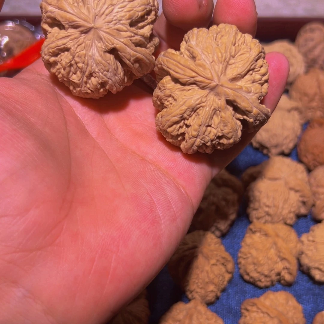 47全品福利大粗筋一对