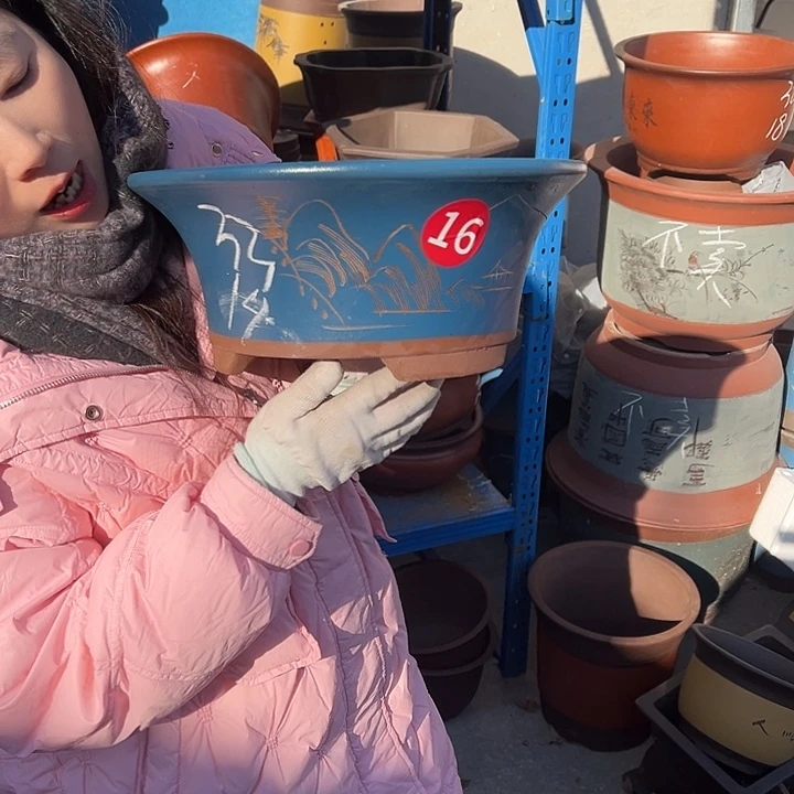 33蓝票口花盆花盆